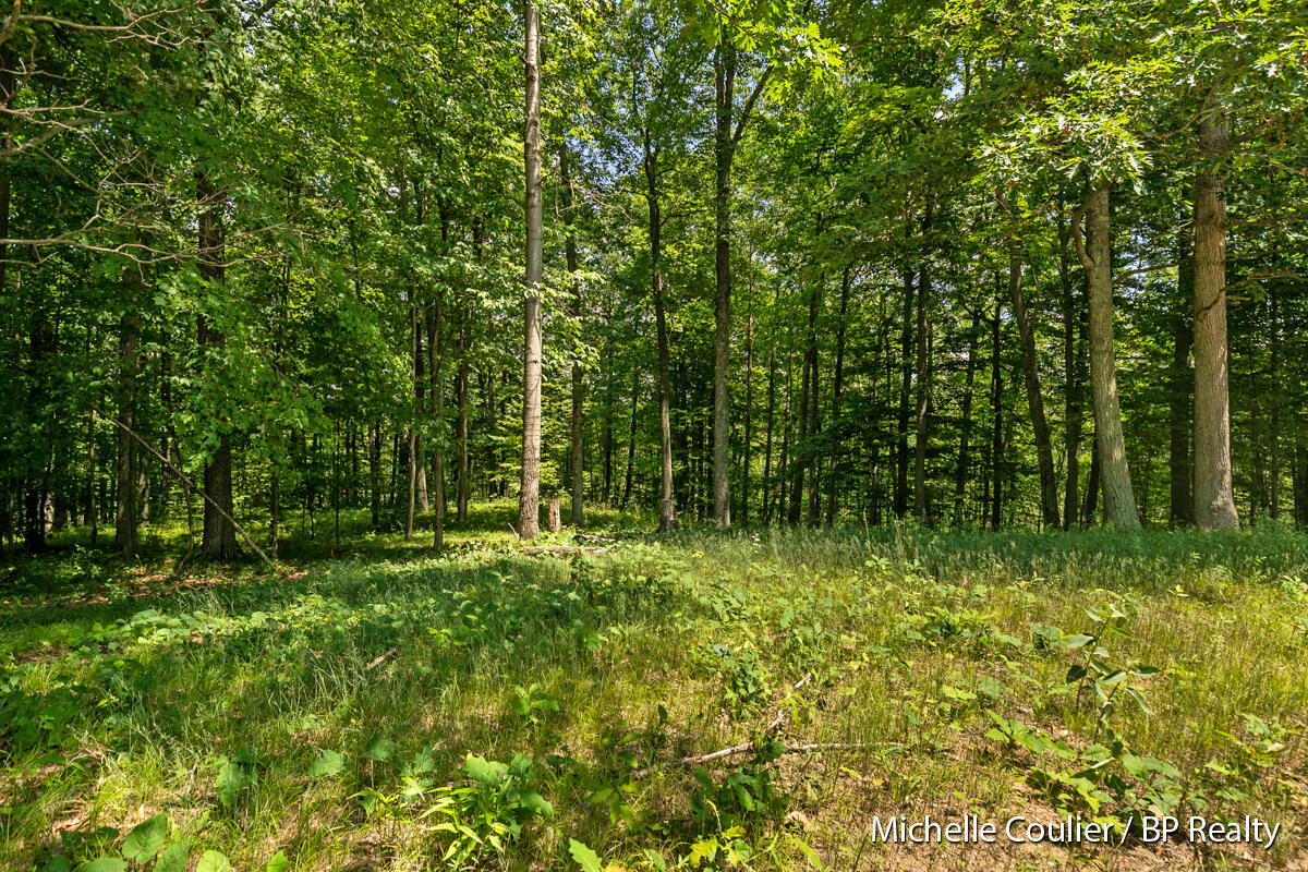 1147 Stakes Road Gowen, MI 49326 - Photo 72 of 105 IMG_1067