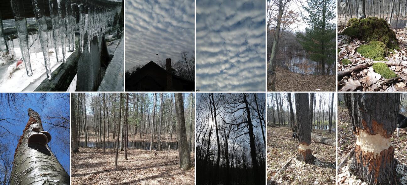 1147 Stakes Road Gowen, MI 49326 - Photo 98 of 105 Screenshot 2023-07-20 at 1.19.29 PM