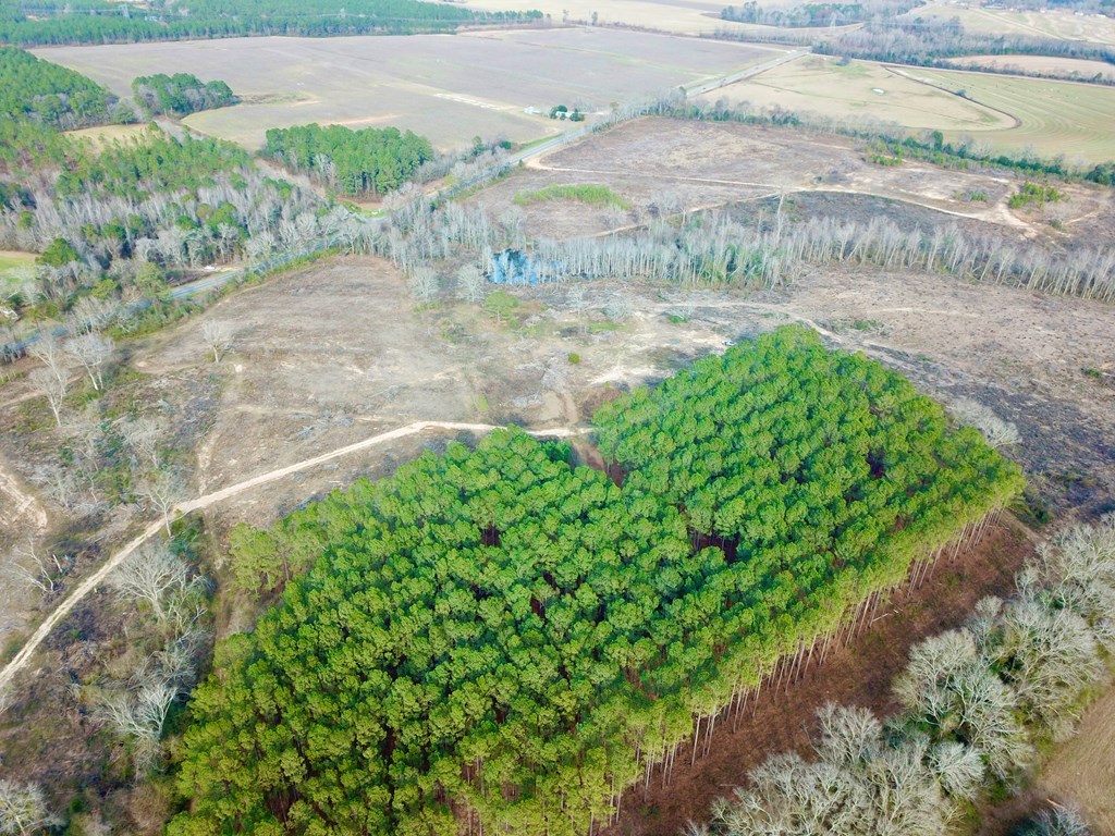 20-acres Hudson Road Columbia, AL 36319 - Photo 24 of 40