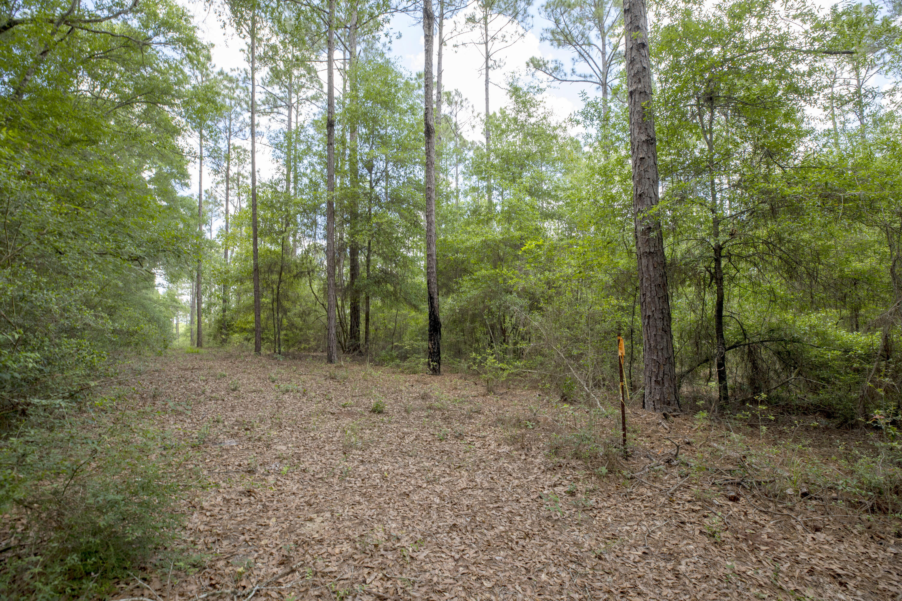 1277 Braxton Road Westville, FL 32464 - Photo 54 of 60 Gallery Image 54