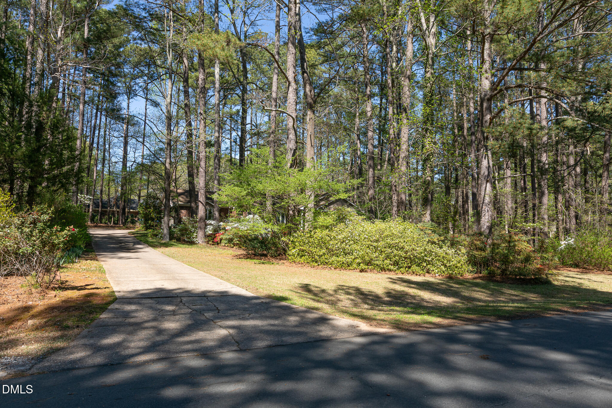 6119 Splitrock Trail Apex, NC 27539 - Photo 2 of 58 a view of a yard with plants and trees