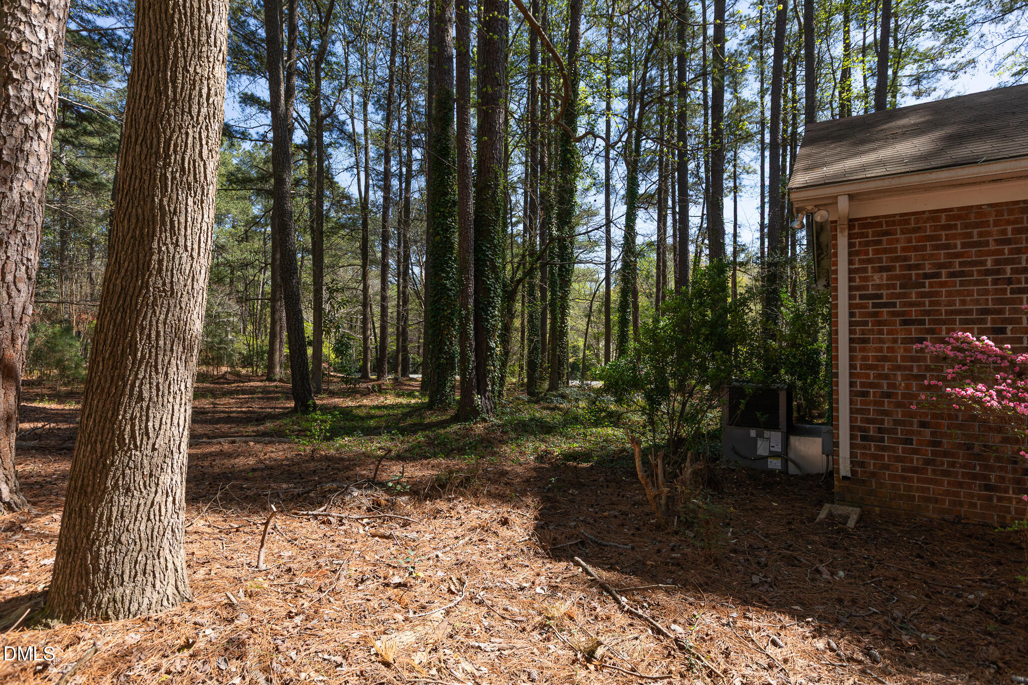 6119 Splitrock Trail Apex, NC 27539 - Photo 31 of 58 a view of backyard with trees