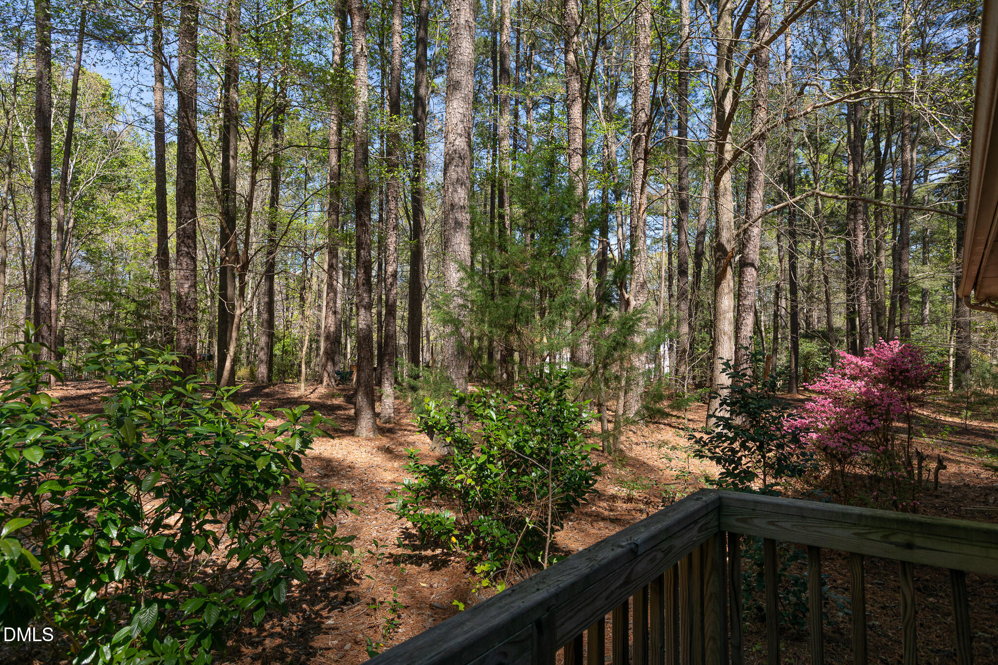 6119 Splitrock Trail Apex, NC 27539 - Photo 32 of 58 a view of a garden with plants