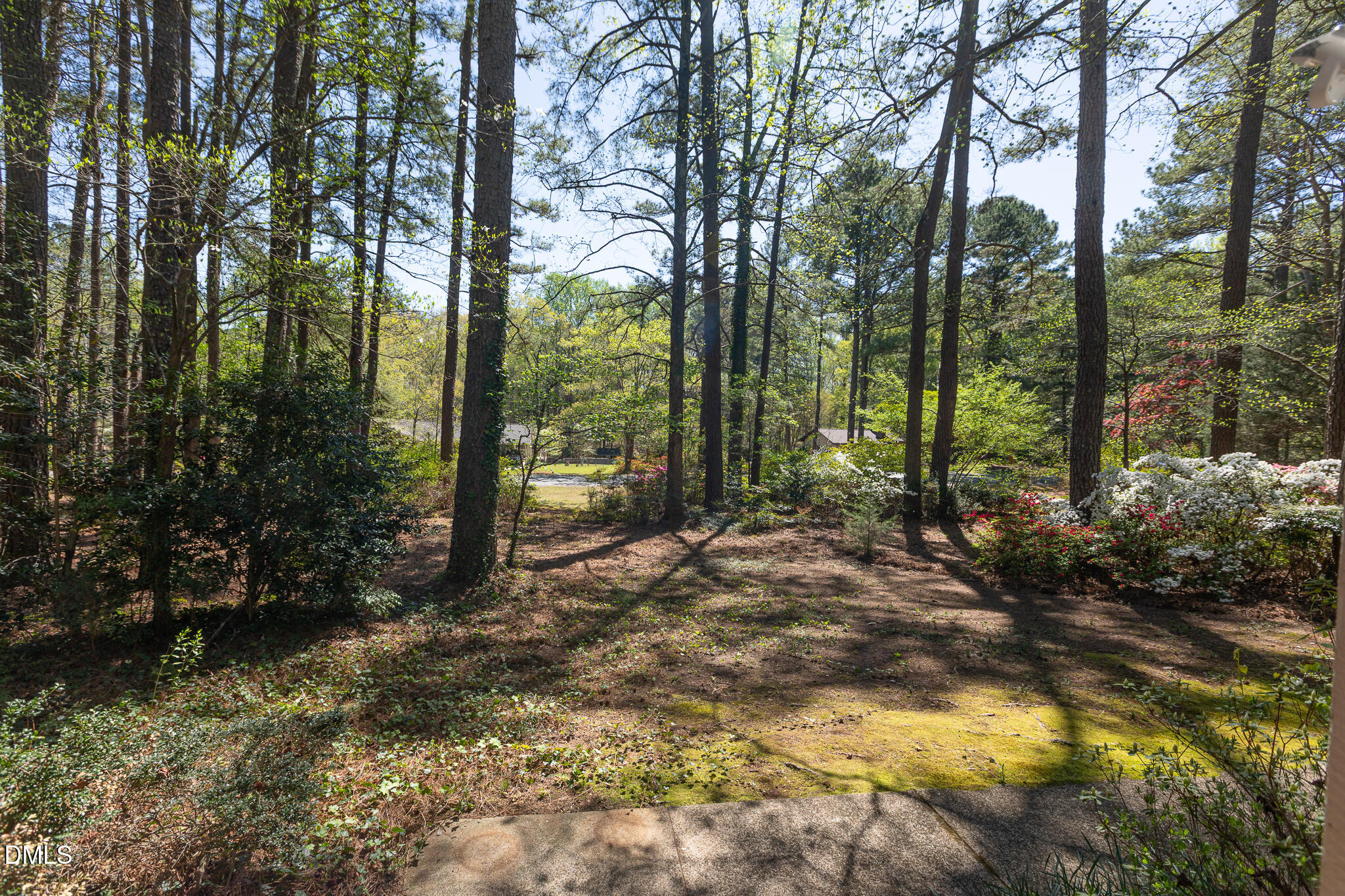 6119 Splitrock Trail Apex, NC 27539 - Photo 33 of 58 a view of forest