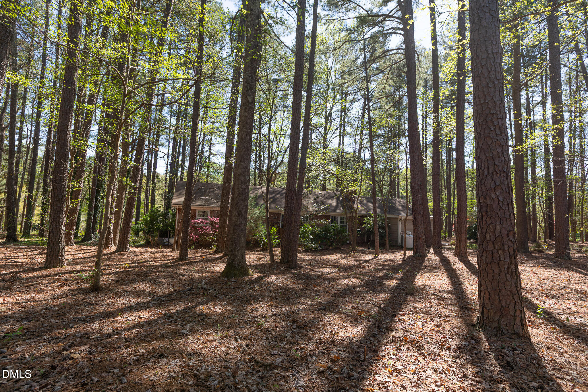 6119 Splitrock Trail Apex, NC 27539 - Photo 34 of 58 a view of outdoor space and yard