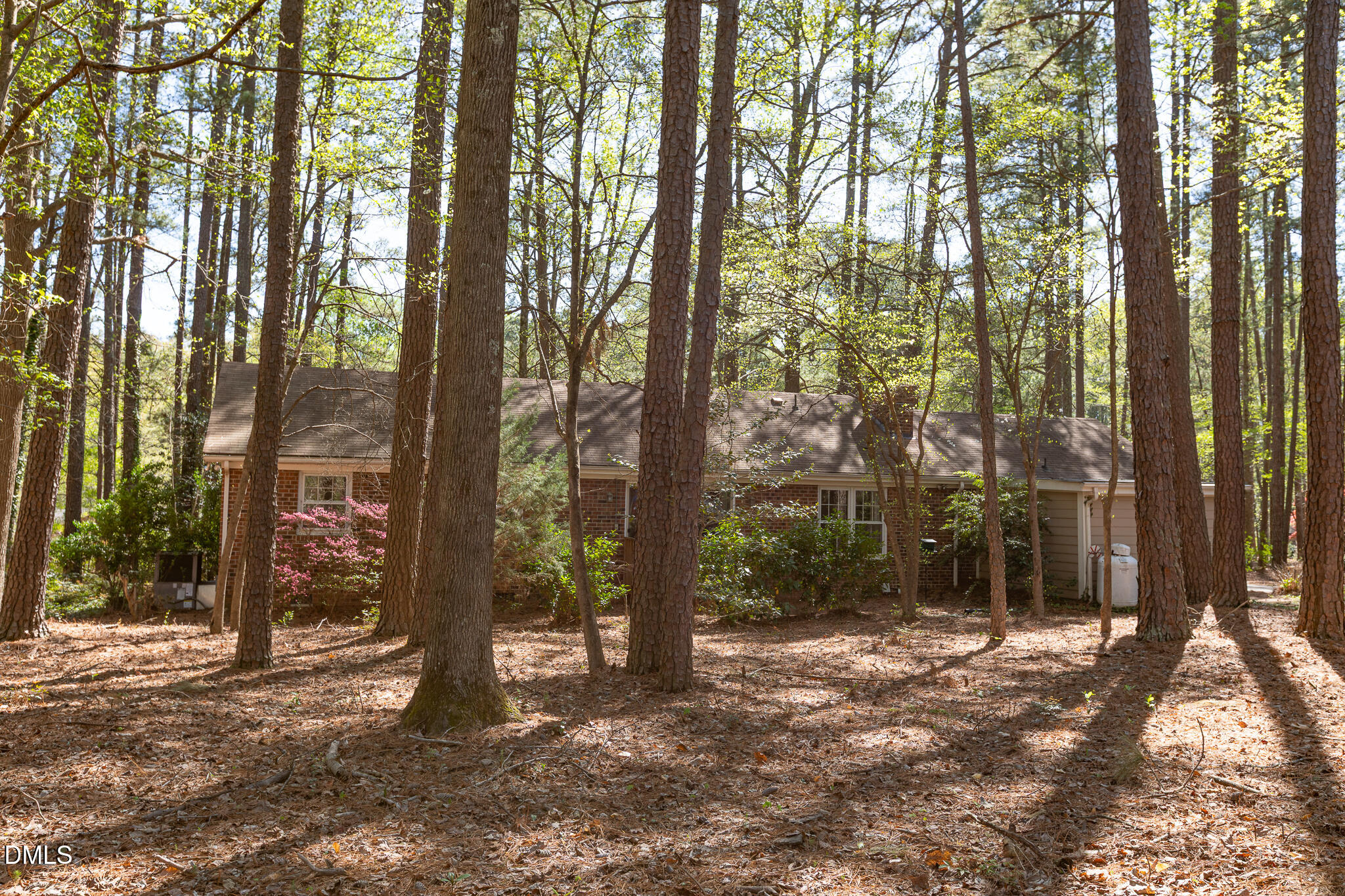 6119 Splitrock Trail Apex, NC 27539 - Photo 35 of 58 a backyard of a house with lots of green space