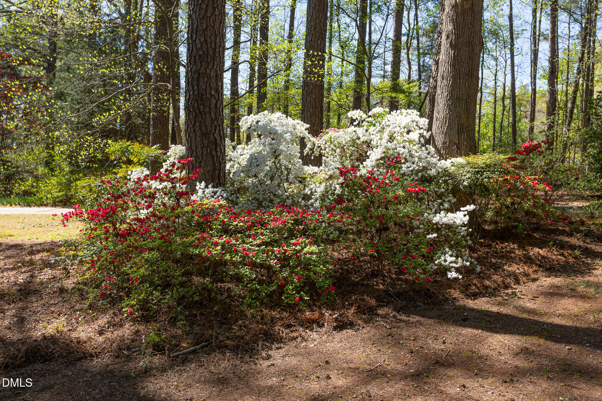 6119 Splitrock Trail Apex, NC 27539 - Photo 36 of 58 a view of outdoor space and garden