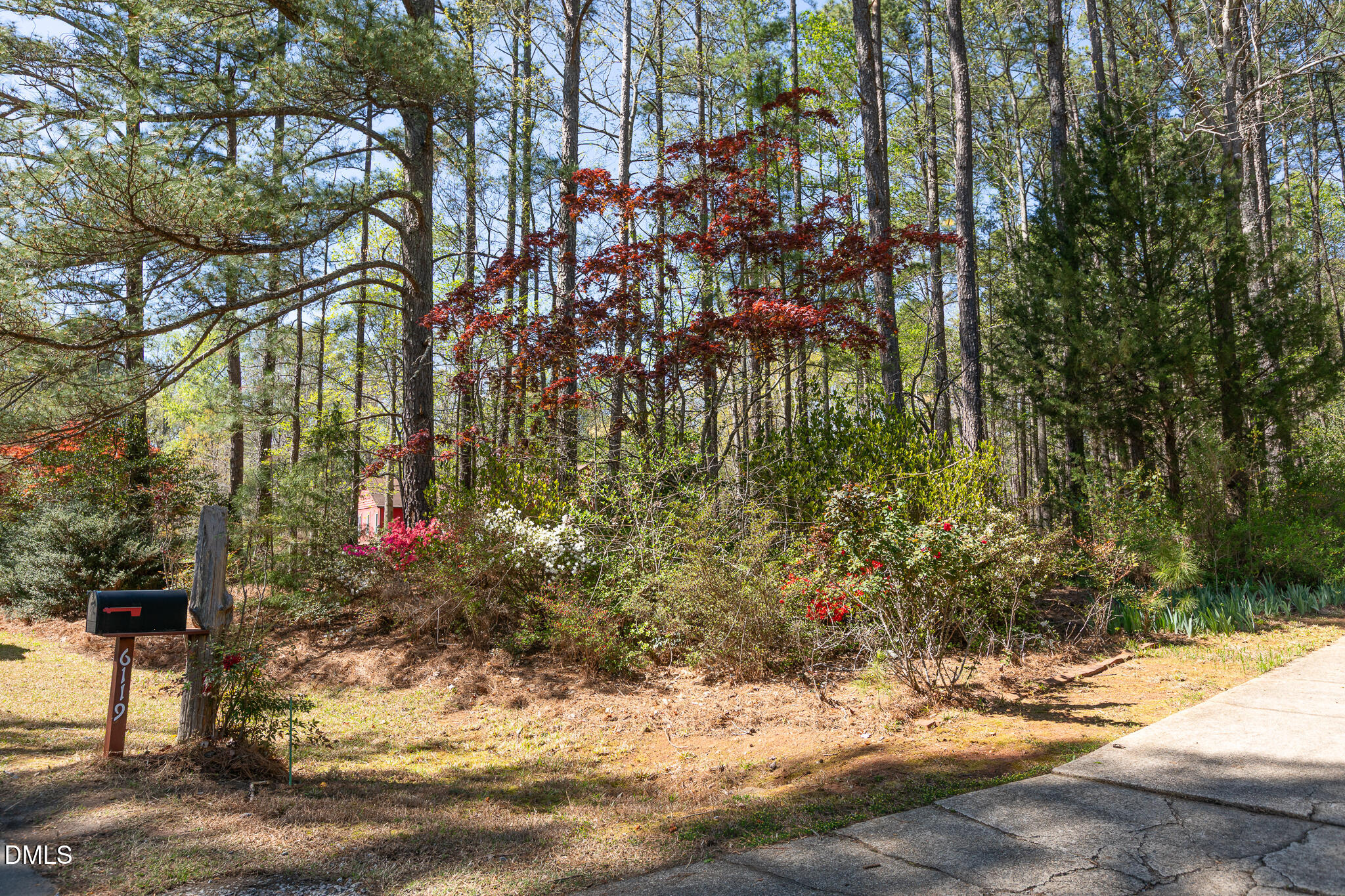 6119 Splitrock Trail Apex, NC 27539 - Photo 37 of 58 a view of a yard covered with trees