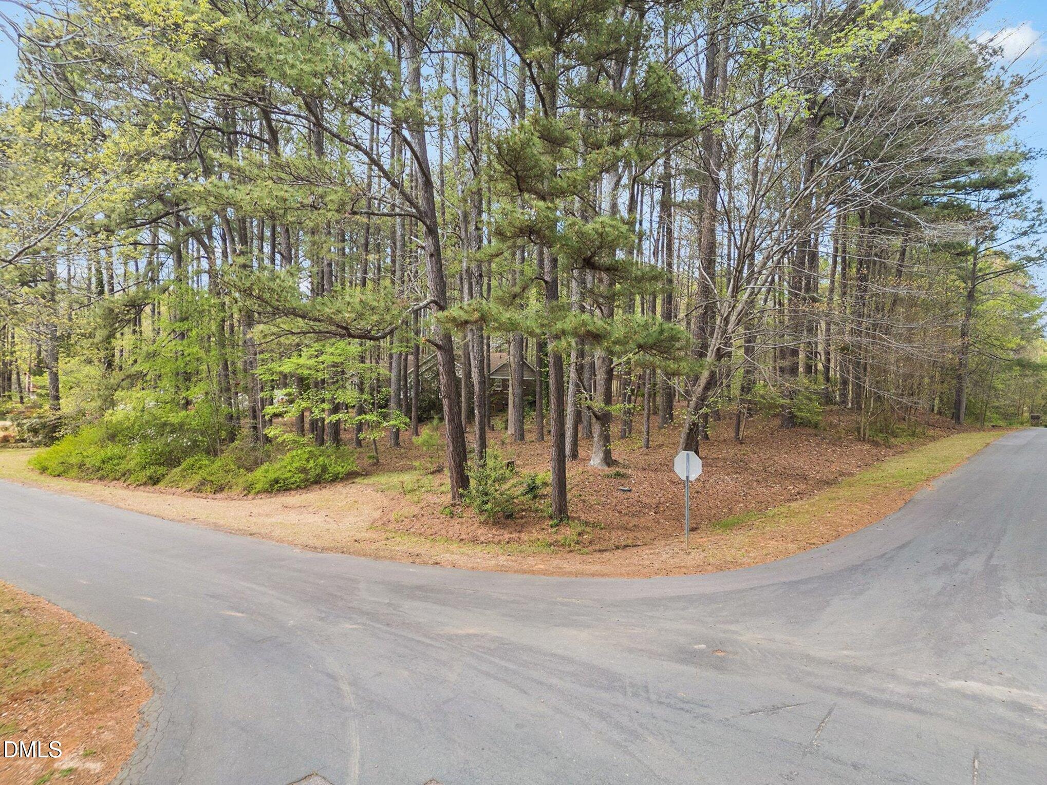 6119 Splitrock Trail Apex, NC 27539 - Photo 39 of 58 a view of a yard with a fountain