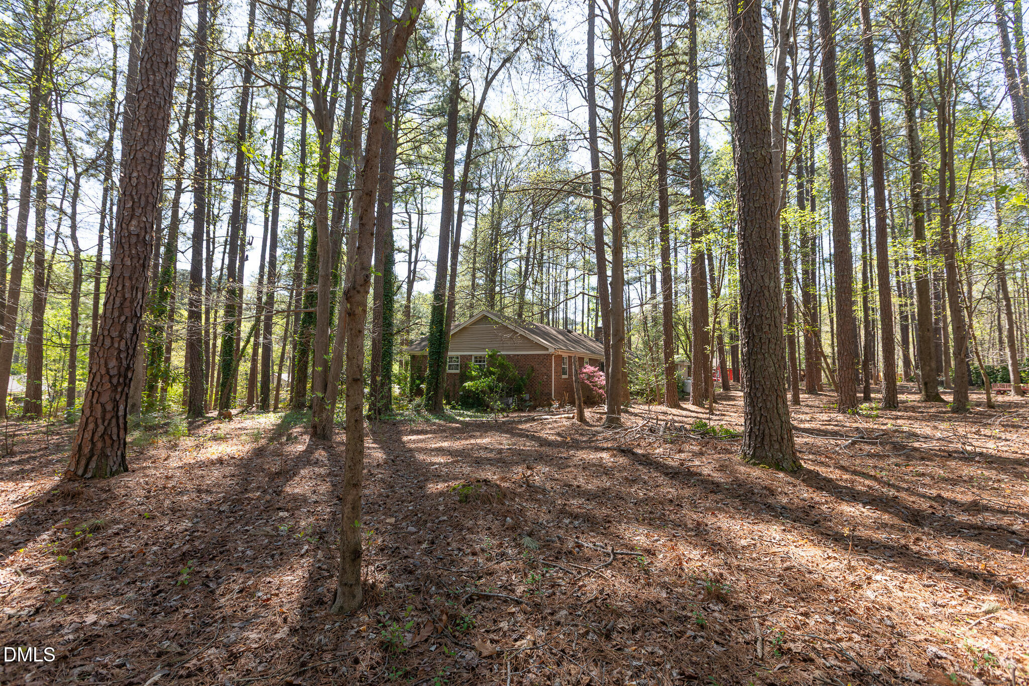 6119 Splitrock Trail Apex, NC 27539 - Photo 42 of 58 SRT--54