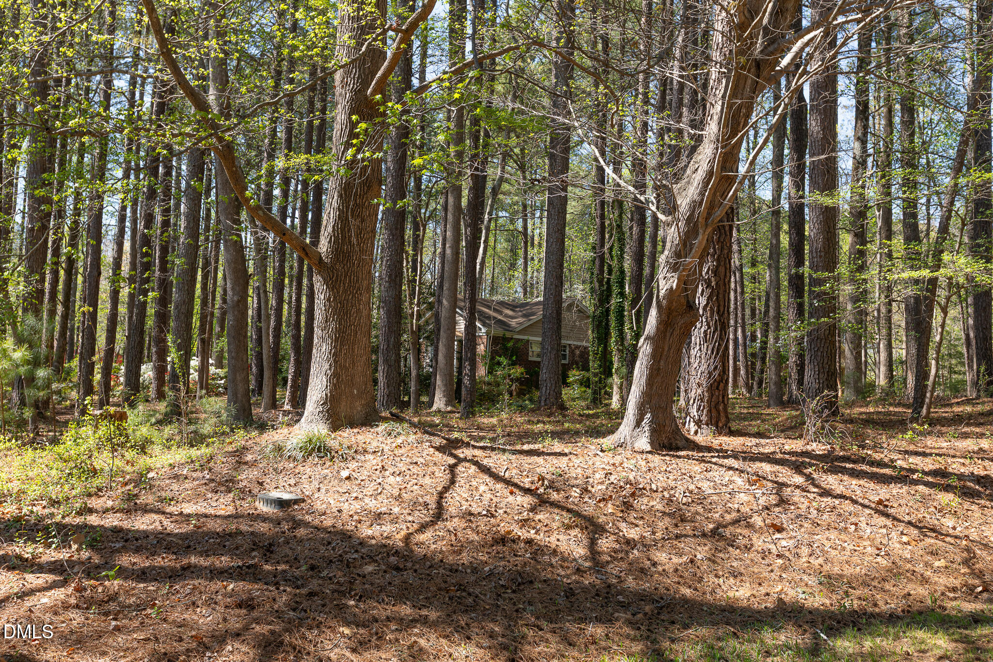 6119 Splitrock Trail Apex, NC 27539 - Photo 45 of 58 a view of a barn in the middle of a yard