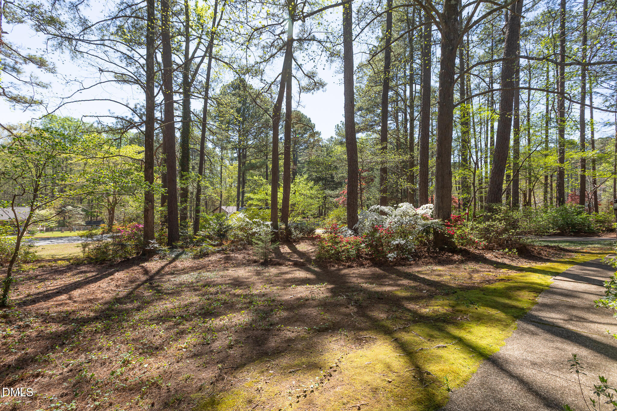 6119 Splitrock Trail Apex, NC 27539 - Photo 47 of 58 a view of a house with a yard and tree s