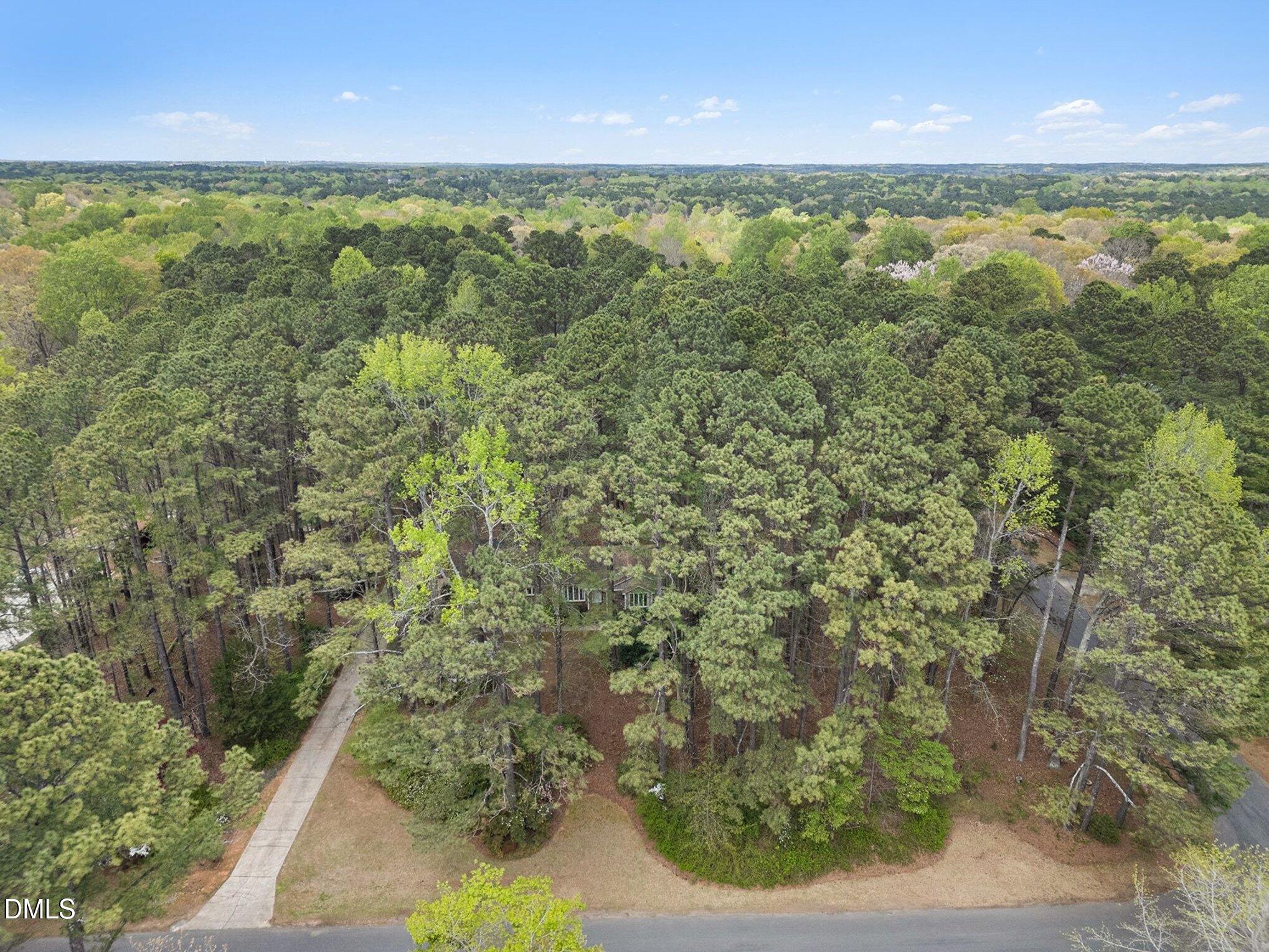 6119 Splitrock Trail Apex, NC 27539 - Photo 51 of 58 006_file_2741