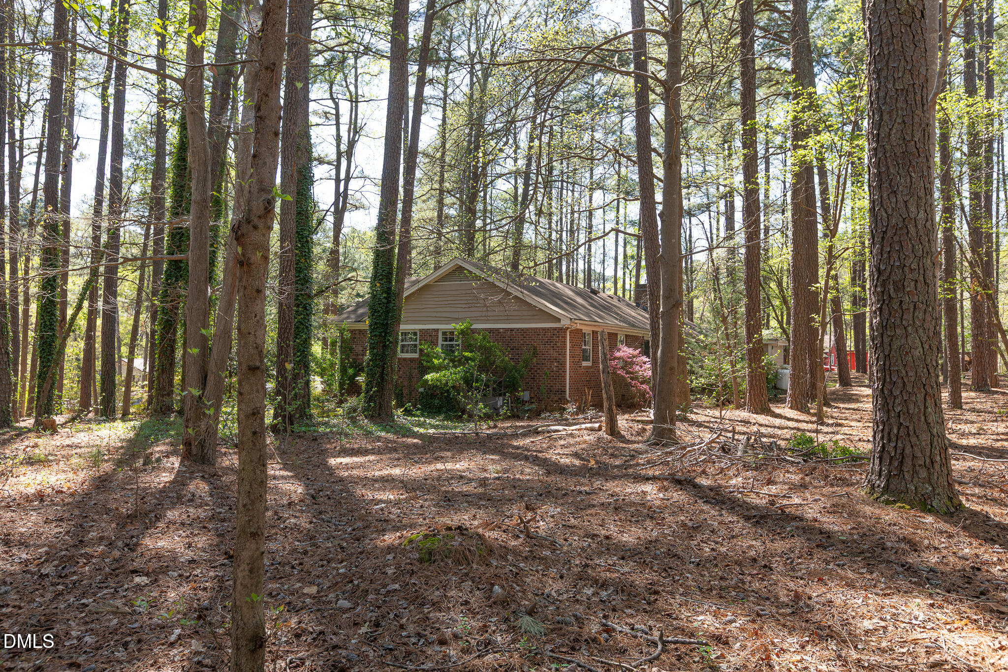 6119 Splitrock Trail Apex, NC 27539 - Photo 54 of 58 a view of a house with backyard and trees
