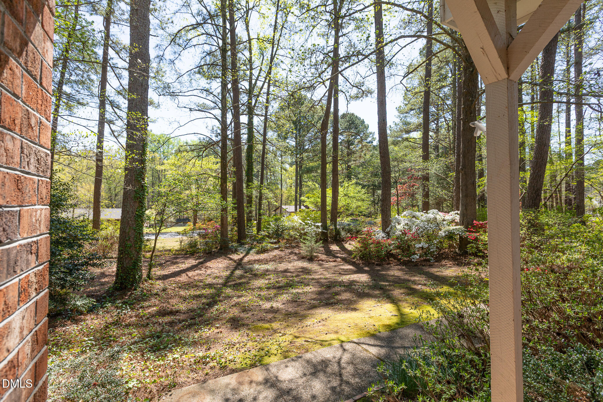 6119 Splitrock Trail Apex, NC 27539 - Photo 8 of 58 a view of backyard of the house