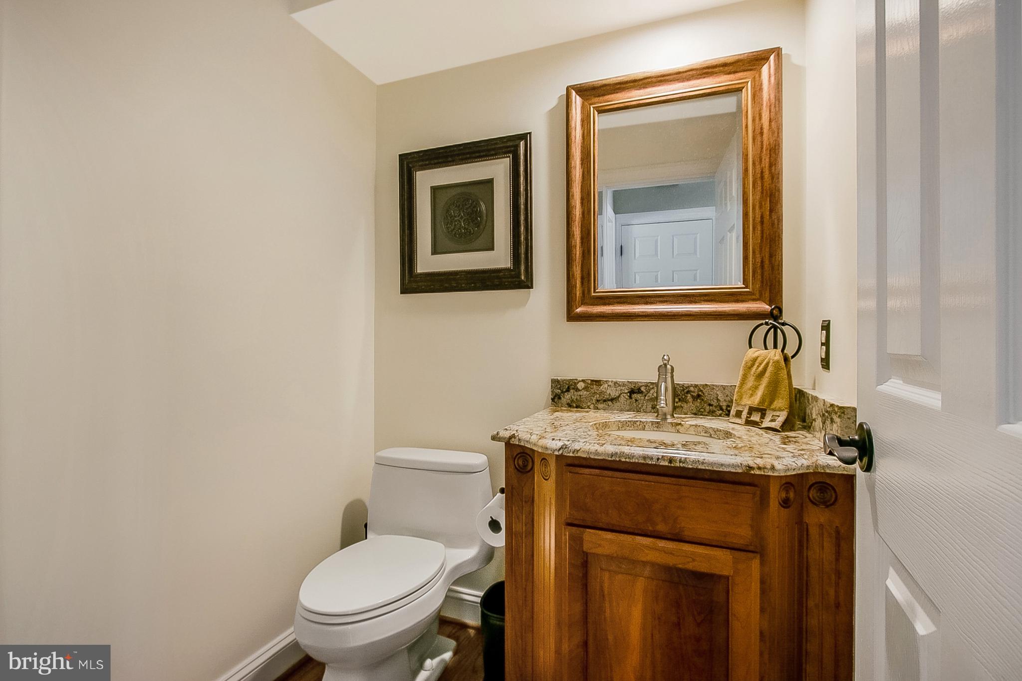 204 South Pond Road Hockessin, DE 19707 - Photo 16 of 39 Pretty Remodeled Powder Room