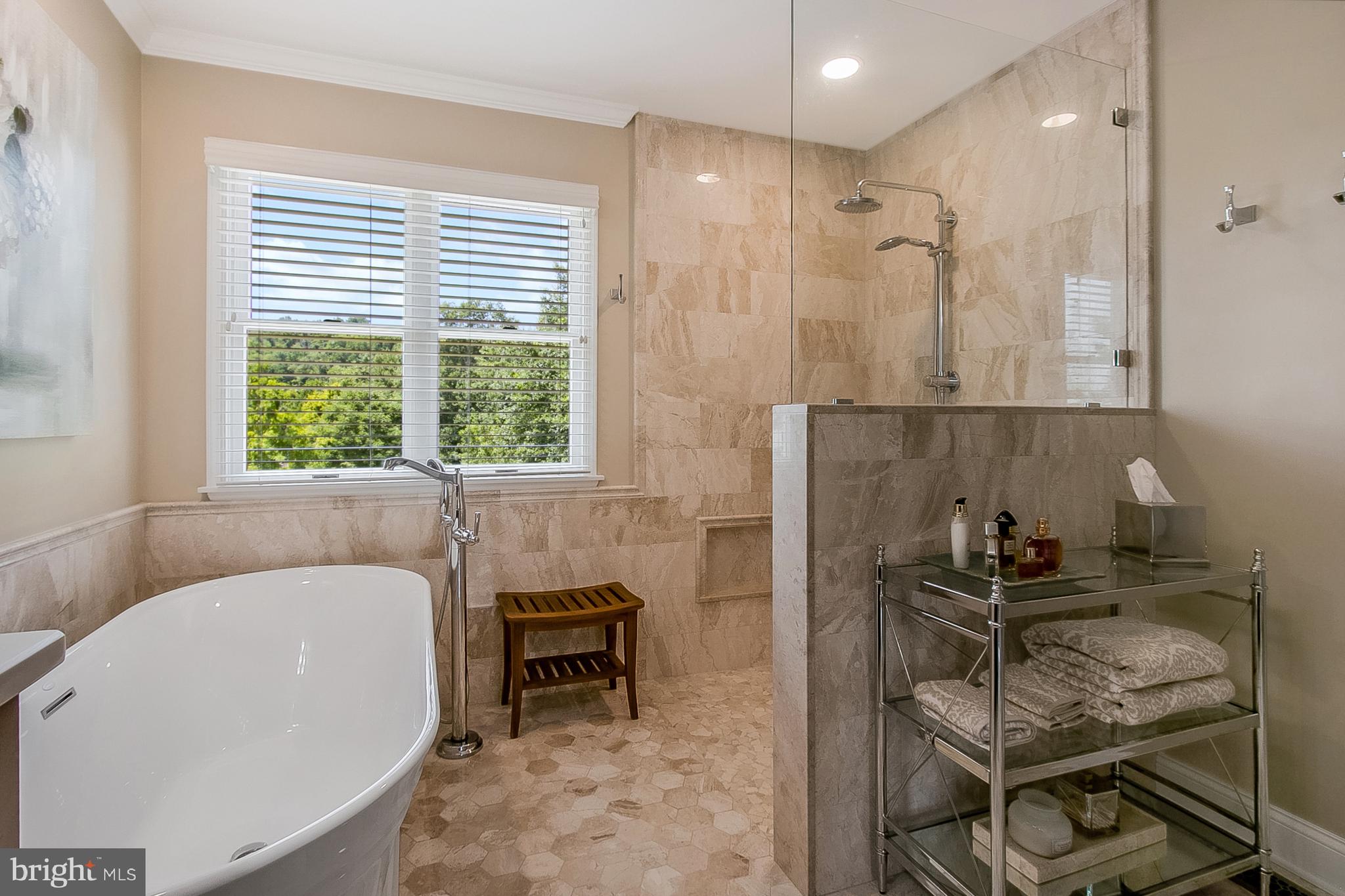 204 South Pond Road Hockessin, DE 19707 - Photo 22 of 39 Free Standing Tub and Beautiful Walk-In Shower