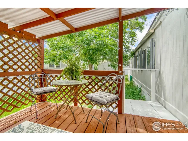 a view of a house with a small yard and a large tree
