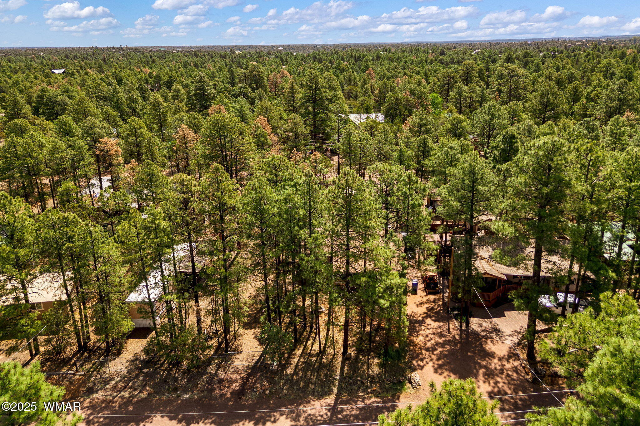 2887 Tracy Road Overgaard, AZ 85933 - Photo 28 of 32 2887TracyRd-Heber-AZ-28