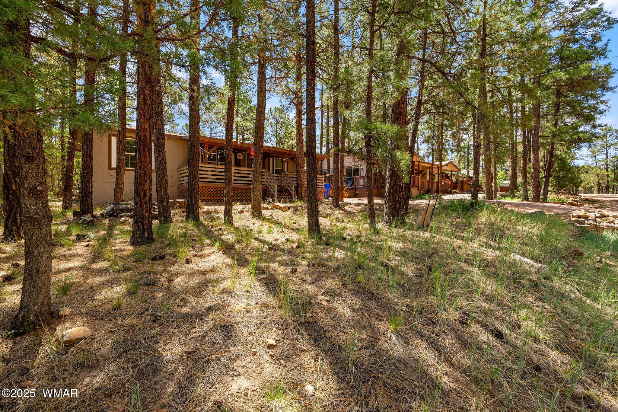 2887 Tracy Road Overgaard, AZ 85933 - Photo 3 of 32 2887TracyRd-Heber-AZ-3