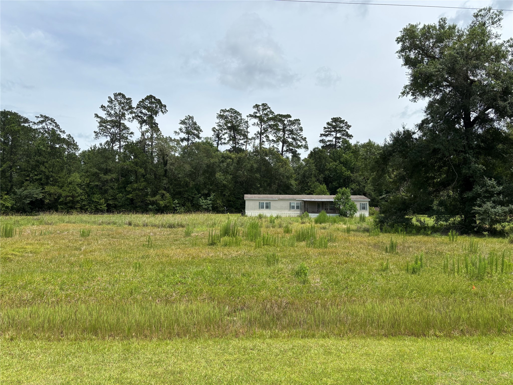 35599 State Highway South Buna, TX 77612 - Photo 3 of 40 a backyard of a house with lots of green space