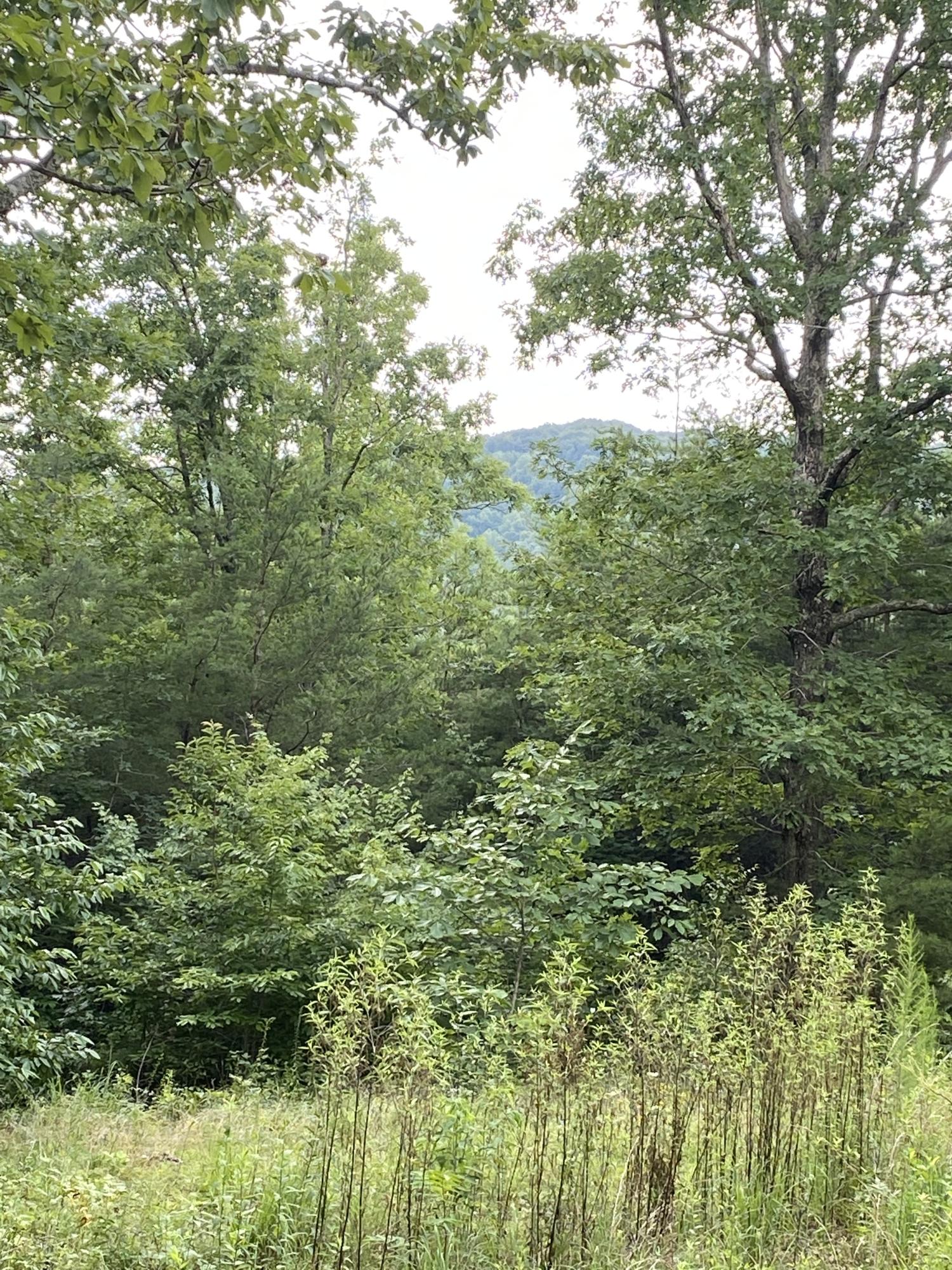 160 Ed Bowling Road, Unit 2 Pikeville, TN 37367 - Photo 1 of 28 Image00016