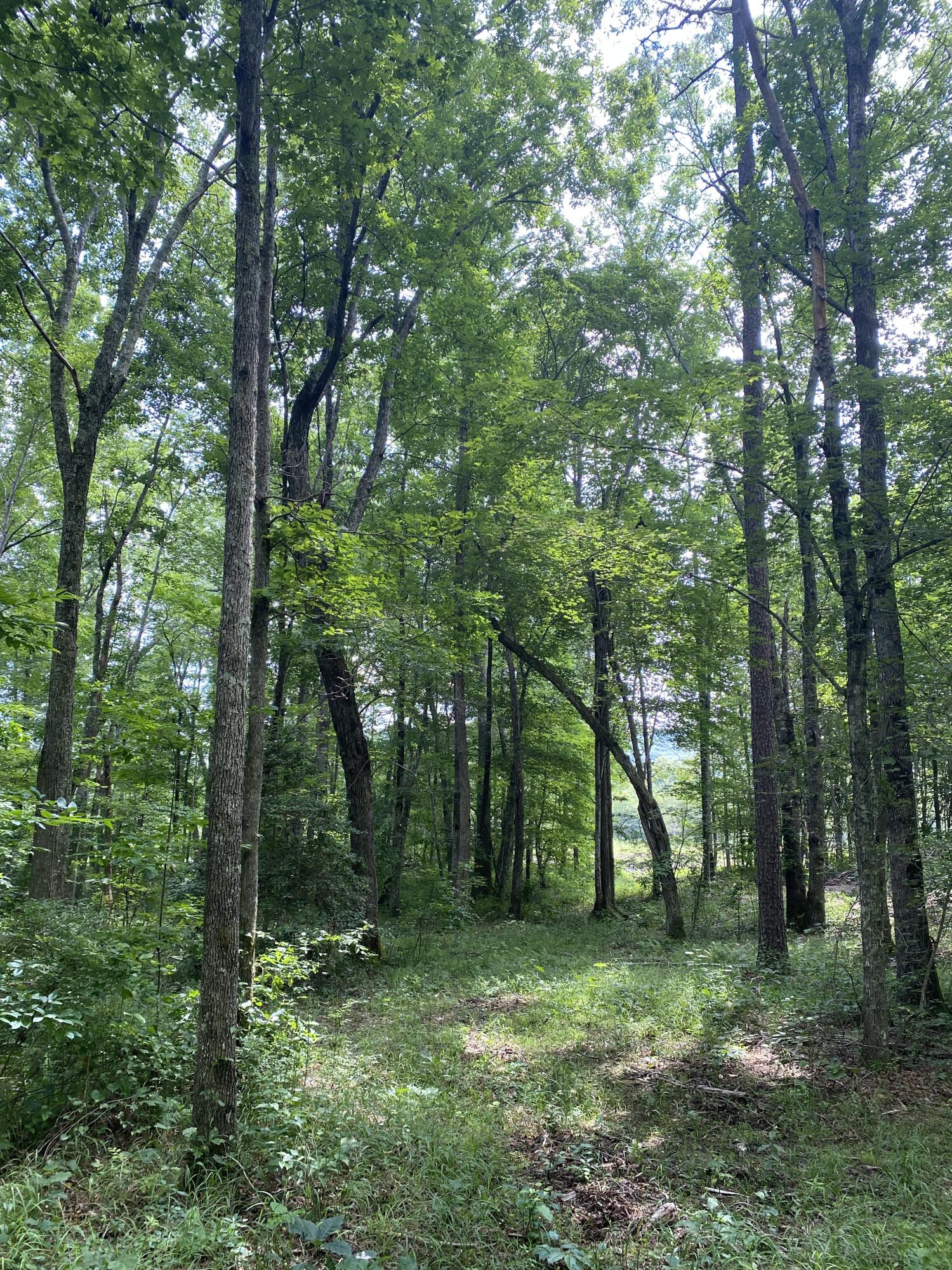 160 Ed Bowling Road, Unit 2 Pikeville, TN 37367 - Photo 12 of 28 Image00027