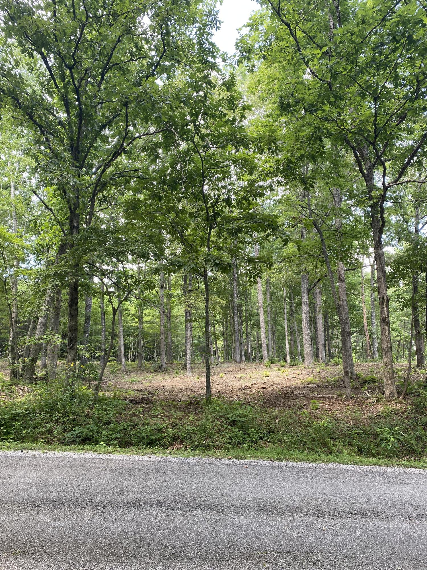 160 Ed Bowling Road, Unit 2 Pikeville, TN 37367 - Photo 14 of 28 Image00001