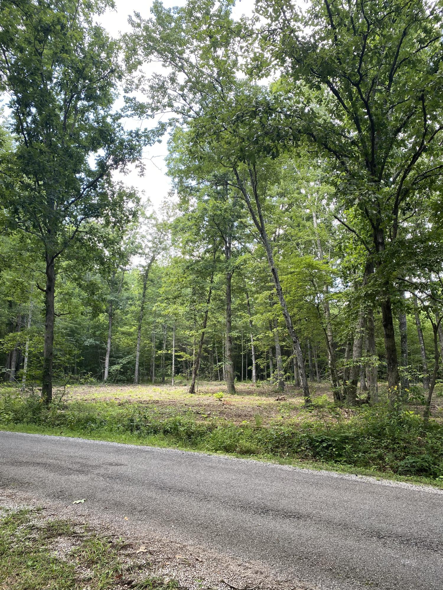 160 Ed Bowling Road, Unit 2 Pikeville, TN 37367 - Photo 15 of 28 Image00002