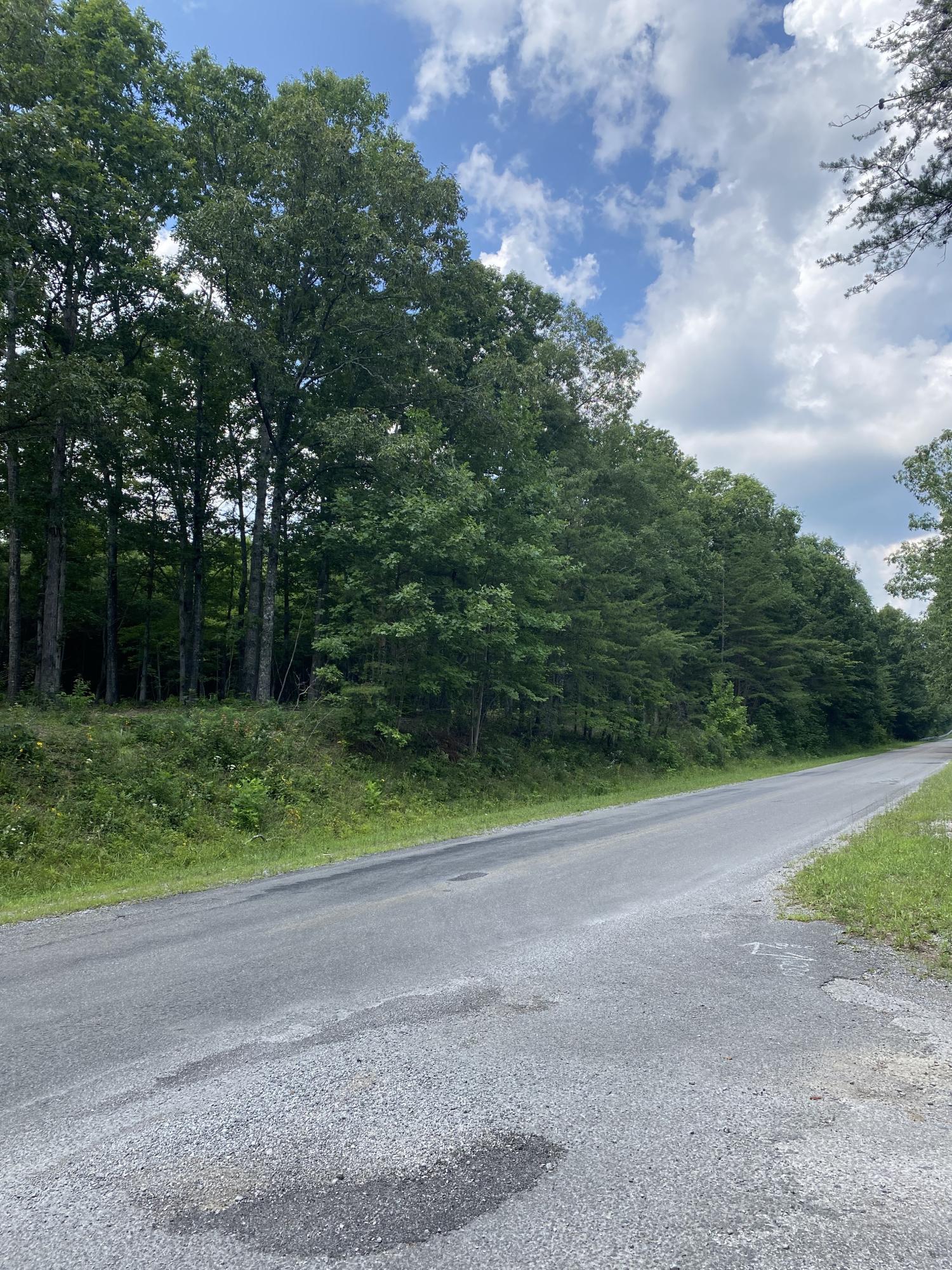 160 Ed Bowling Road, Unit 2 Pikeville, TN 37367 - Photo 17 of 28 Image00004