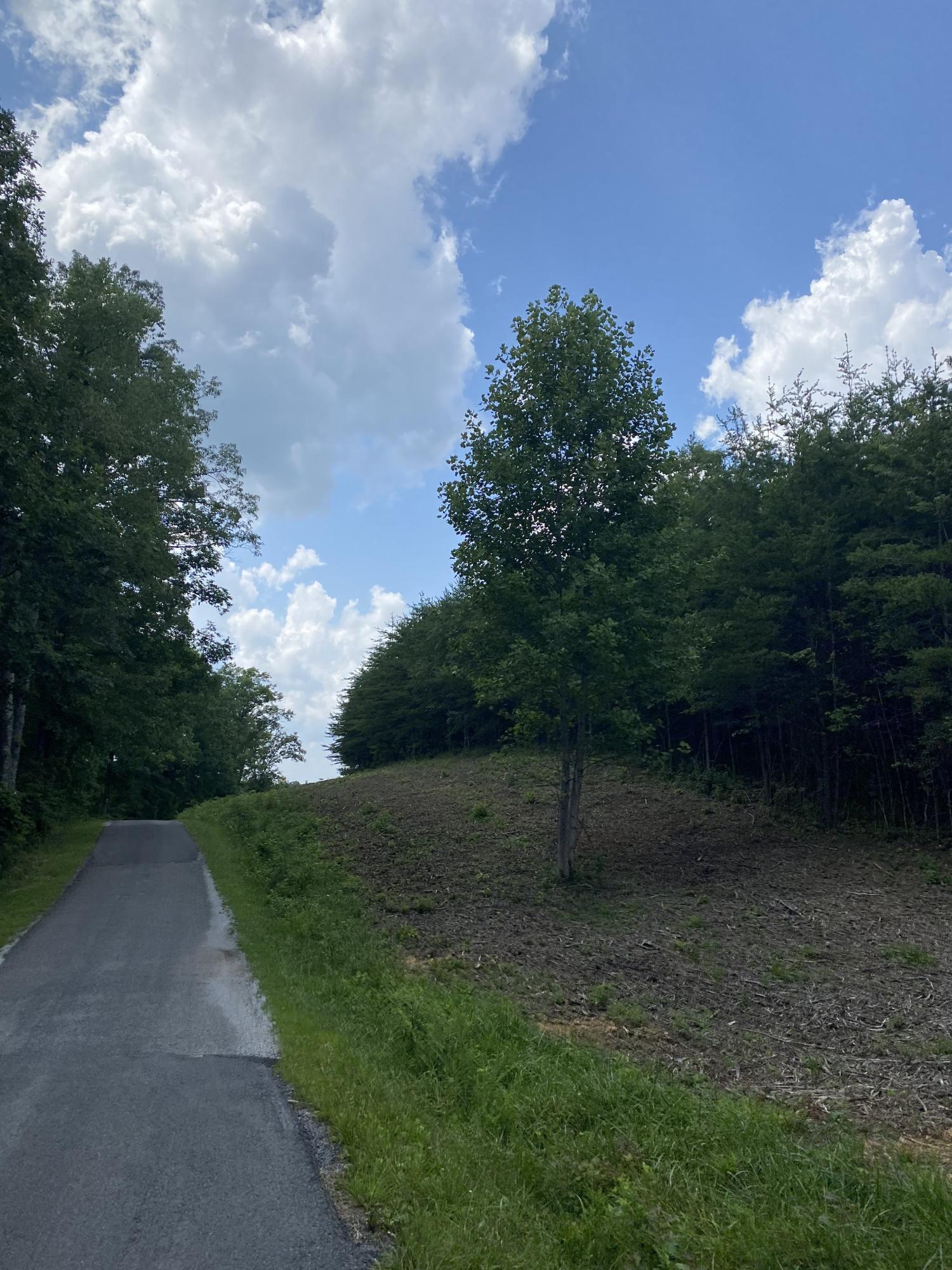 160 Ed Bowling Road, Unit 2 Pikeville, TN 37367 - Photo 20 of 28 Image00007