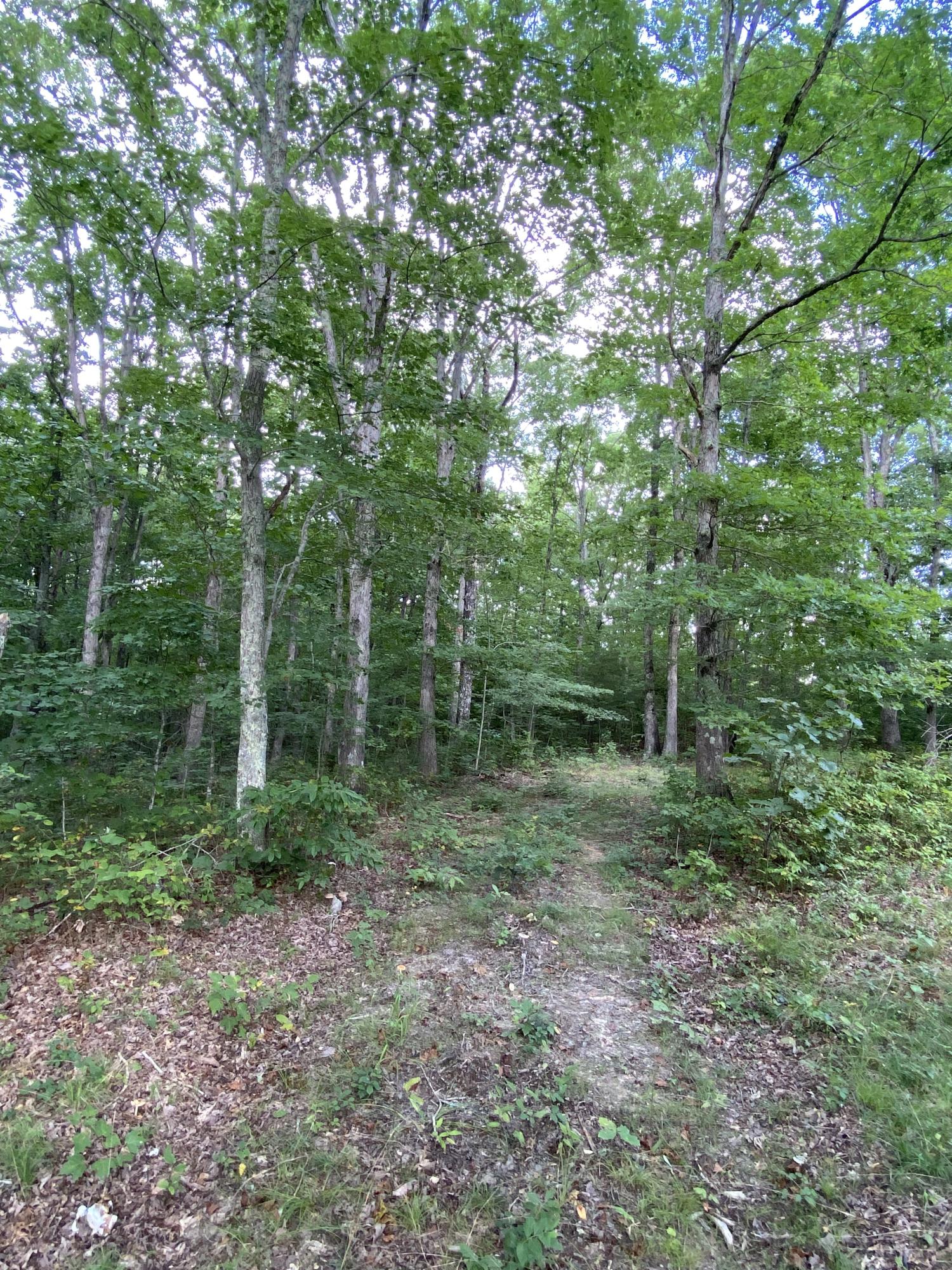 160 Ed Bowling Road, Unit 2 Pikeville, TN 37367 - Photo 3 of 28 Image00018