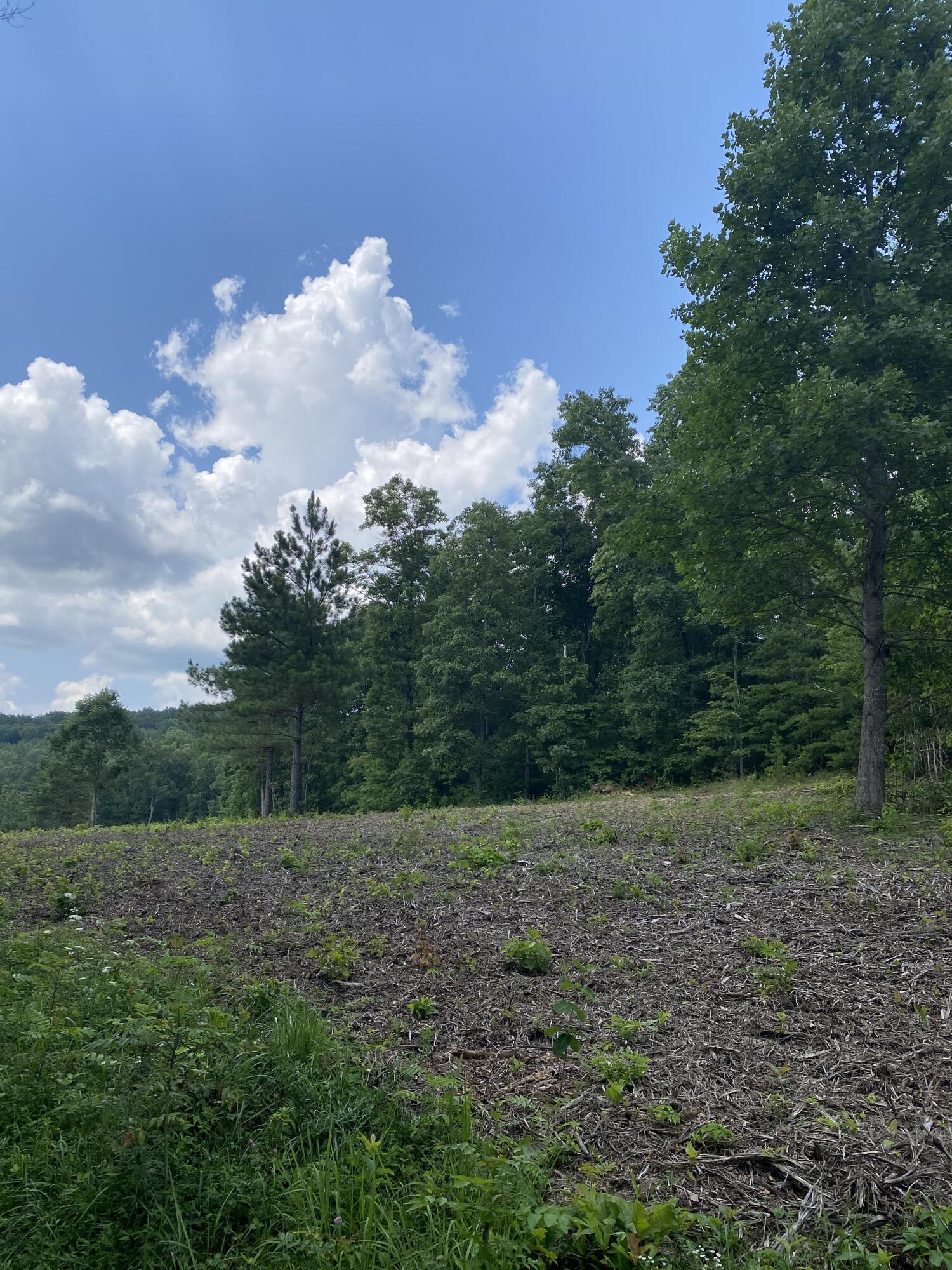 160 Ed Bowling Road, Unit 2 Pikeville, TN 37367 - Photo 22 of 28 Image00009
