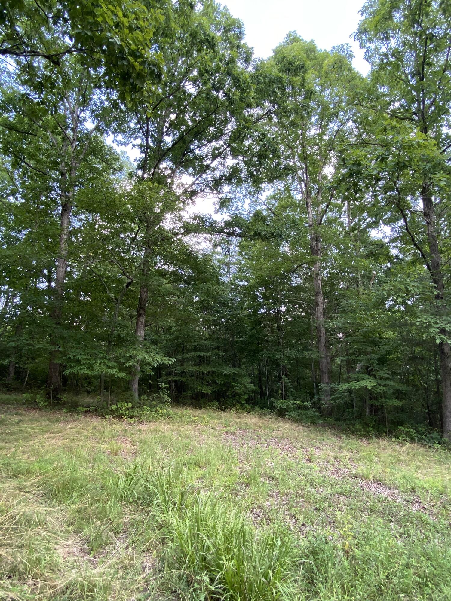 160 Ed Bowling Road, Unit 2 Pikeville, TN 37367 - Photo 5 of 28 Image00020