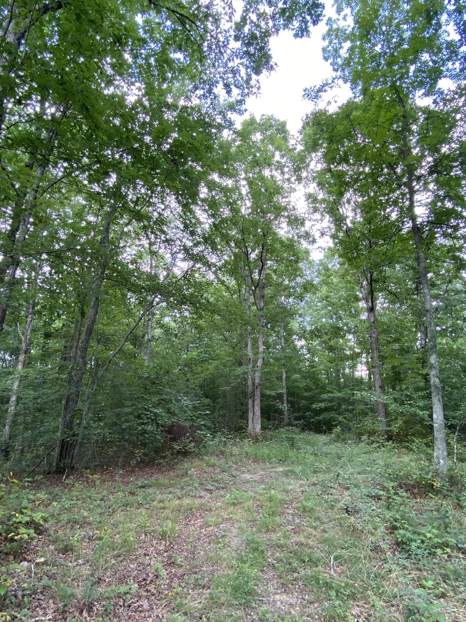 160 Ed Bowling Road, Unit 2 Pikeville, TN 37367 - Photo 6 of 28 Image00021