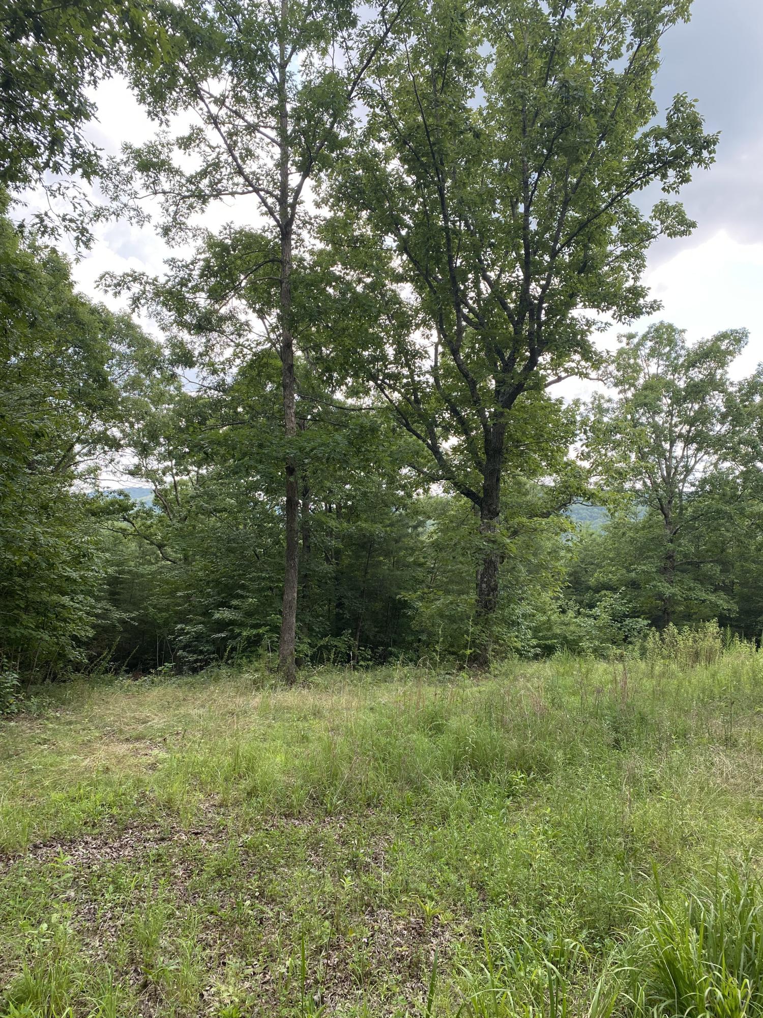 160 Ed Bowling Road, Unit 2 Pikeville, TN 37367 - Photo 7 of 28 Image00022