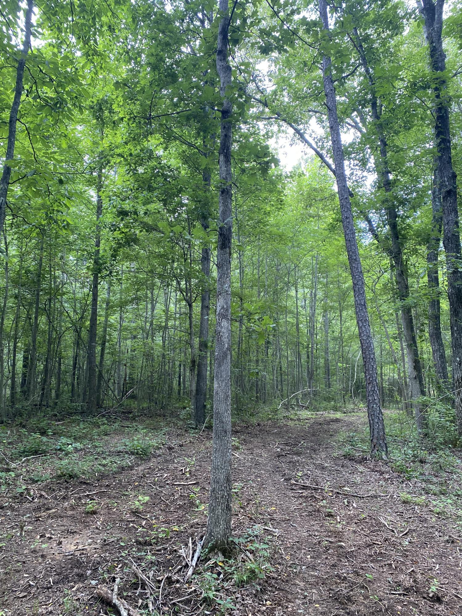 160 Ed Bowling Road, Unit 2 Pikeville, TN 37367 - Photo 9 of 28 Image00024