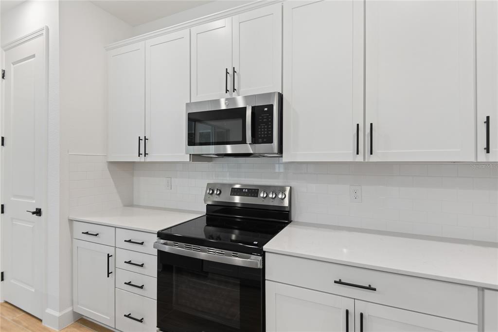 765 Wekiva Rdg Drive Mount Dora, FL 32757 - Photo 8 of 19