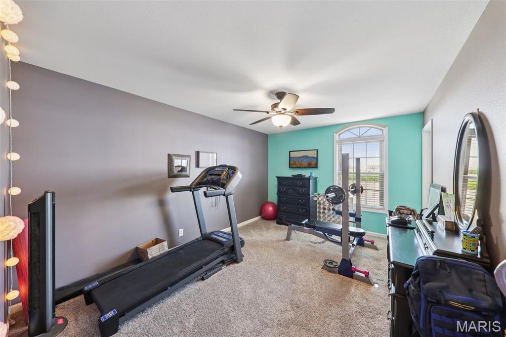 15556 Old State Road Carlyle, IL 62231 - Photo 21 of 64