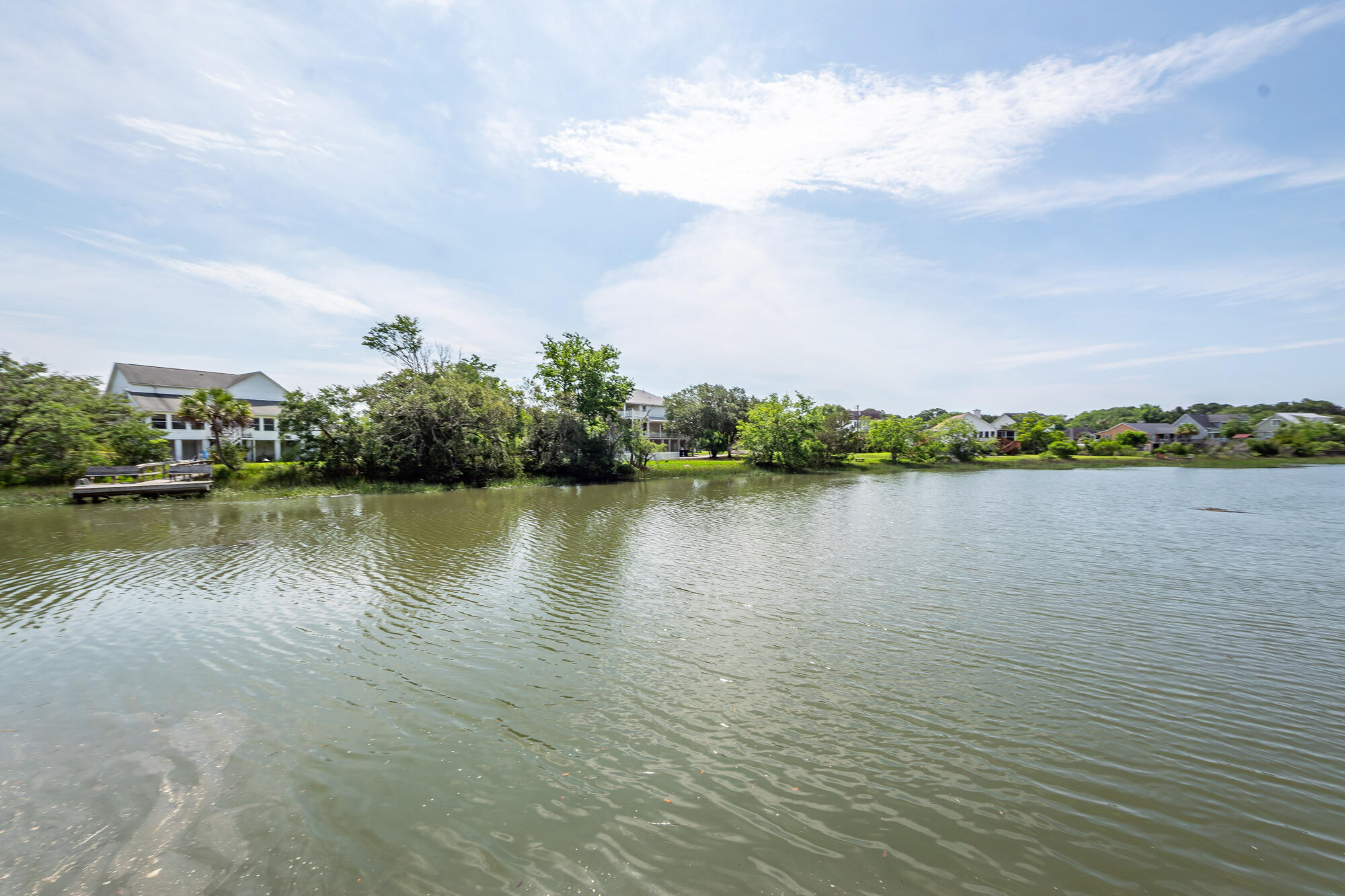 1648 Secessionville Road Charleston, SC 29412 - Photo 3 of 58 56