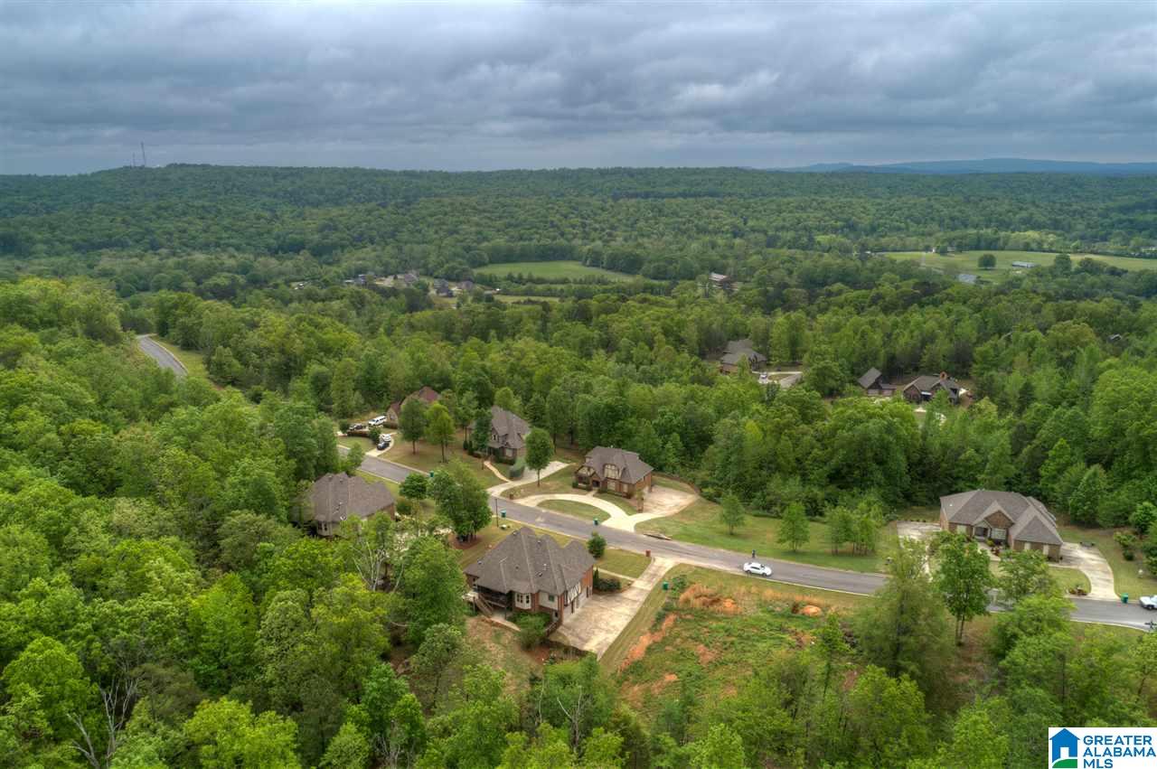 452 Ronny Lane Springville, AL 35146 - Photo 6 of 42