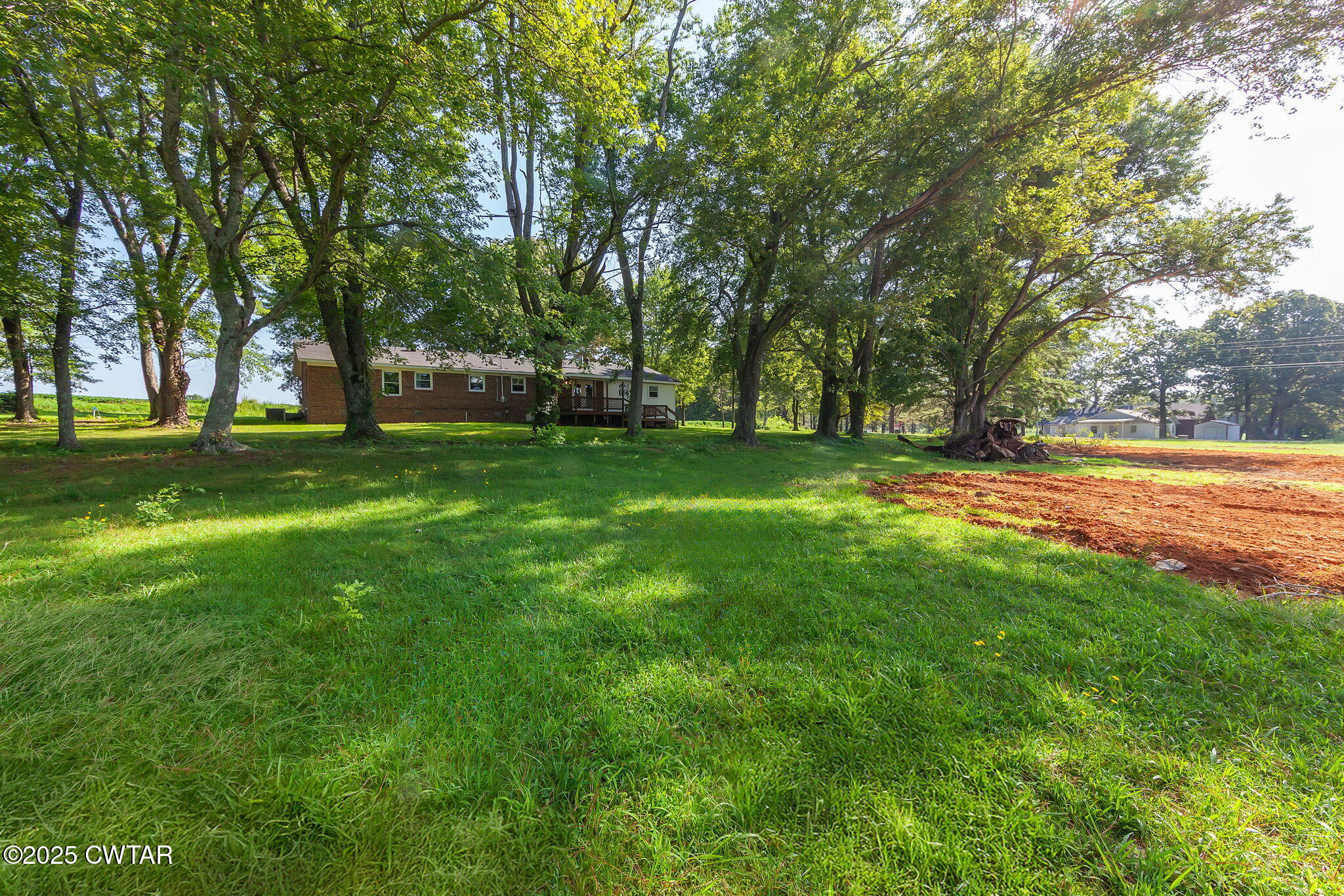 1140 Plainview Road Henderson, TN 38340 - Photo 7 of 29 a view of a big yard with large trees