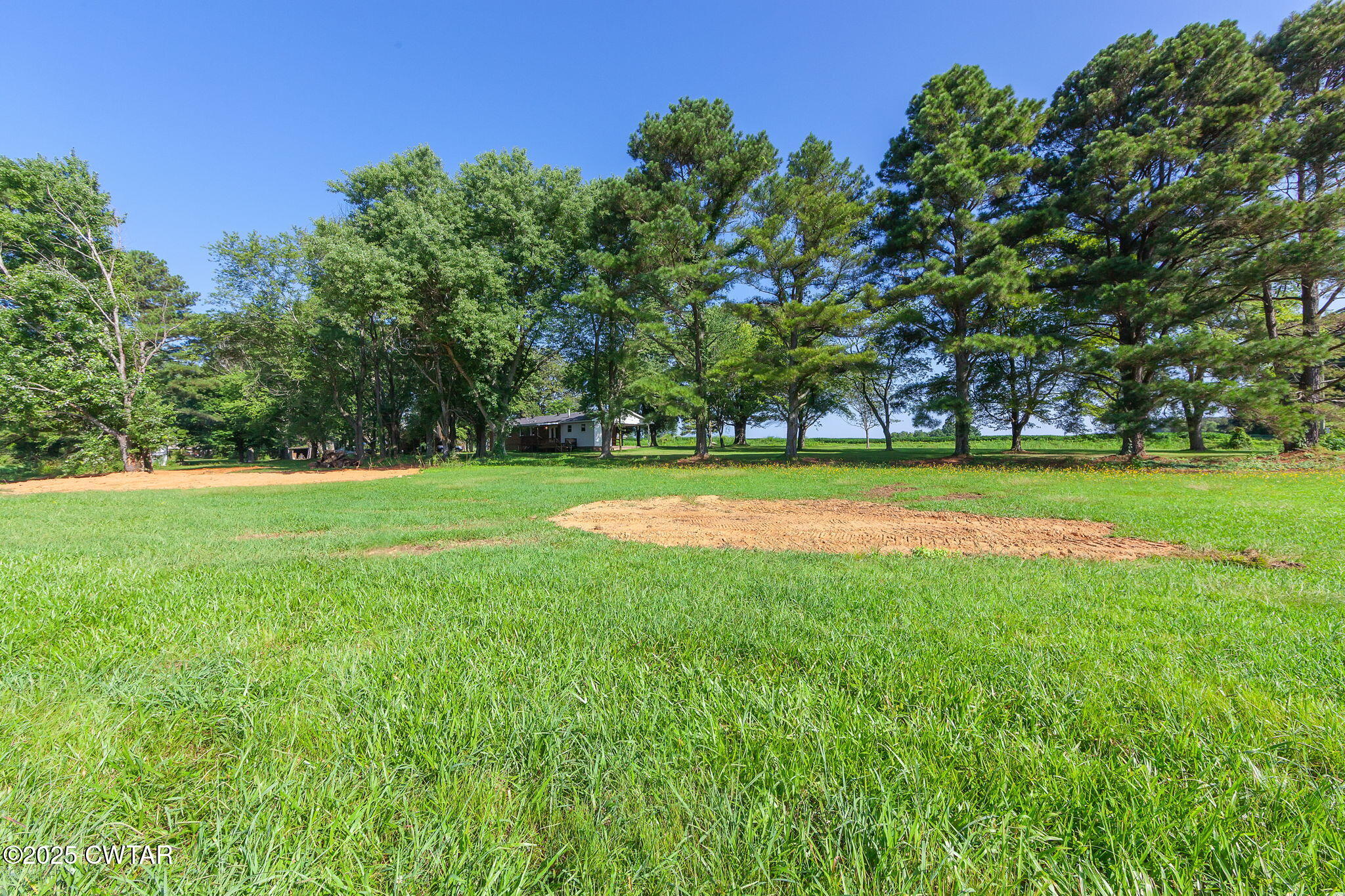 1140 Plainview Road Henderson, TN 38340 - Photo 8 of 29 a view of a big yard with a large trees
