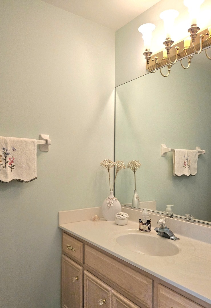 453 Ridgelawn Trail Batavia, IL 60510 - Photo 10 of 25 Gallery Image 10