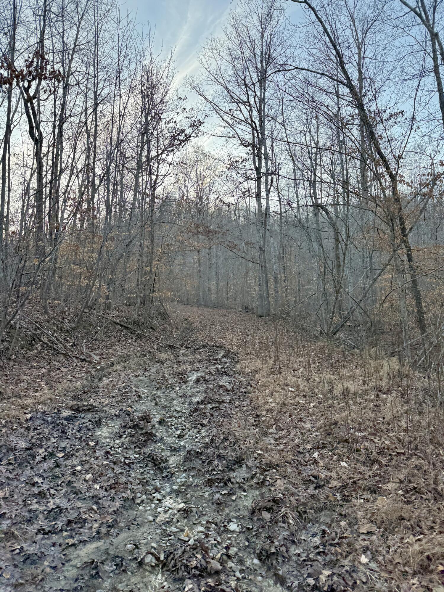 0 Sam Baughman Road Stanford, KY 40484 - Photo 27 of 27 FullSizeRender