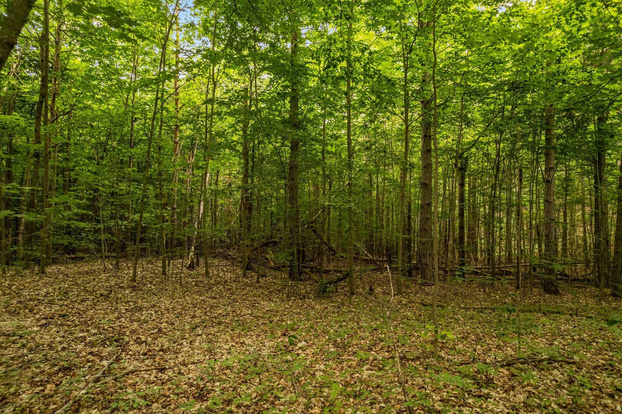 0 Narrow Gauge Road Beulah, MI 49617 - Photo 4 of 11