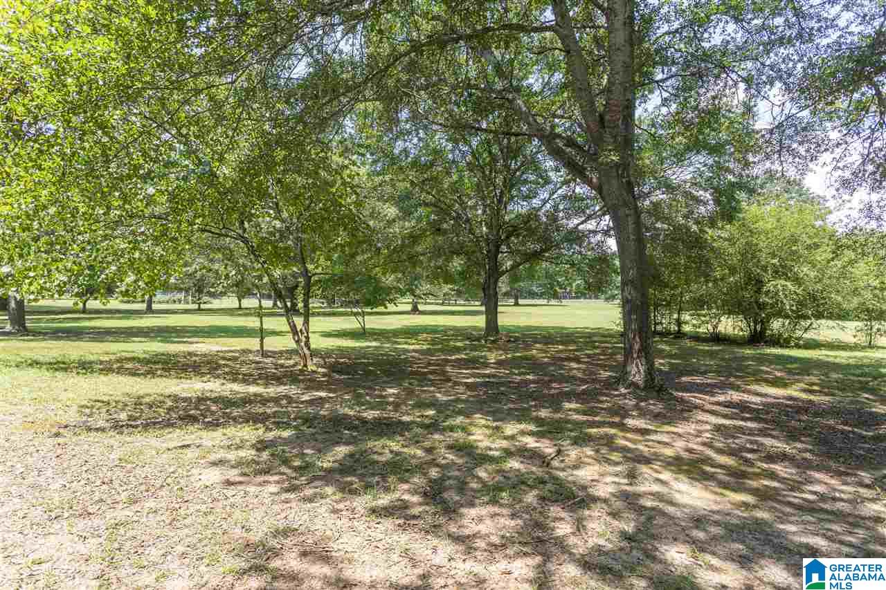 5500 Smith Road Pell City, AL 35128 - Photo 46 of 50