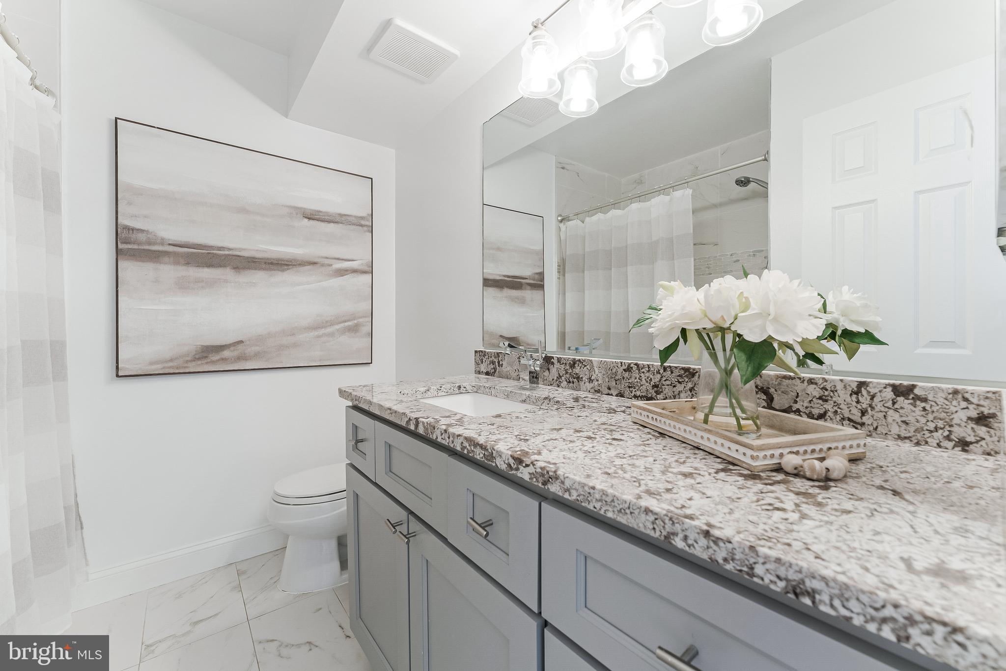 2127 Cabots Point Lane Reston, VA 20191 - Photo 49 of 66 a bathroom with a granite countertop sink a toilet and a mirror
