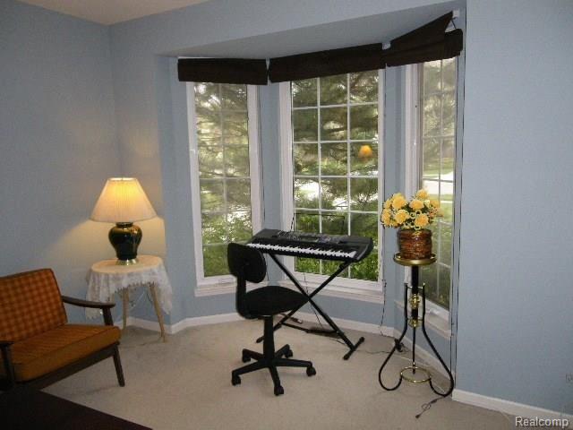 773 Woodfield Way Rochester Hills, MI 48307 - Photo 23 of 38 Gallery Image 23