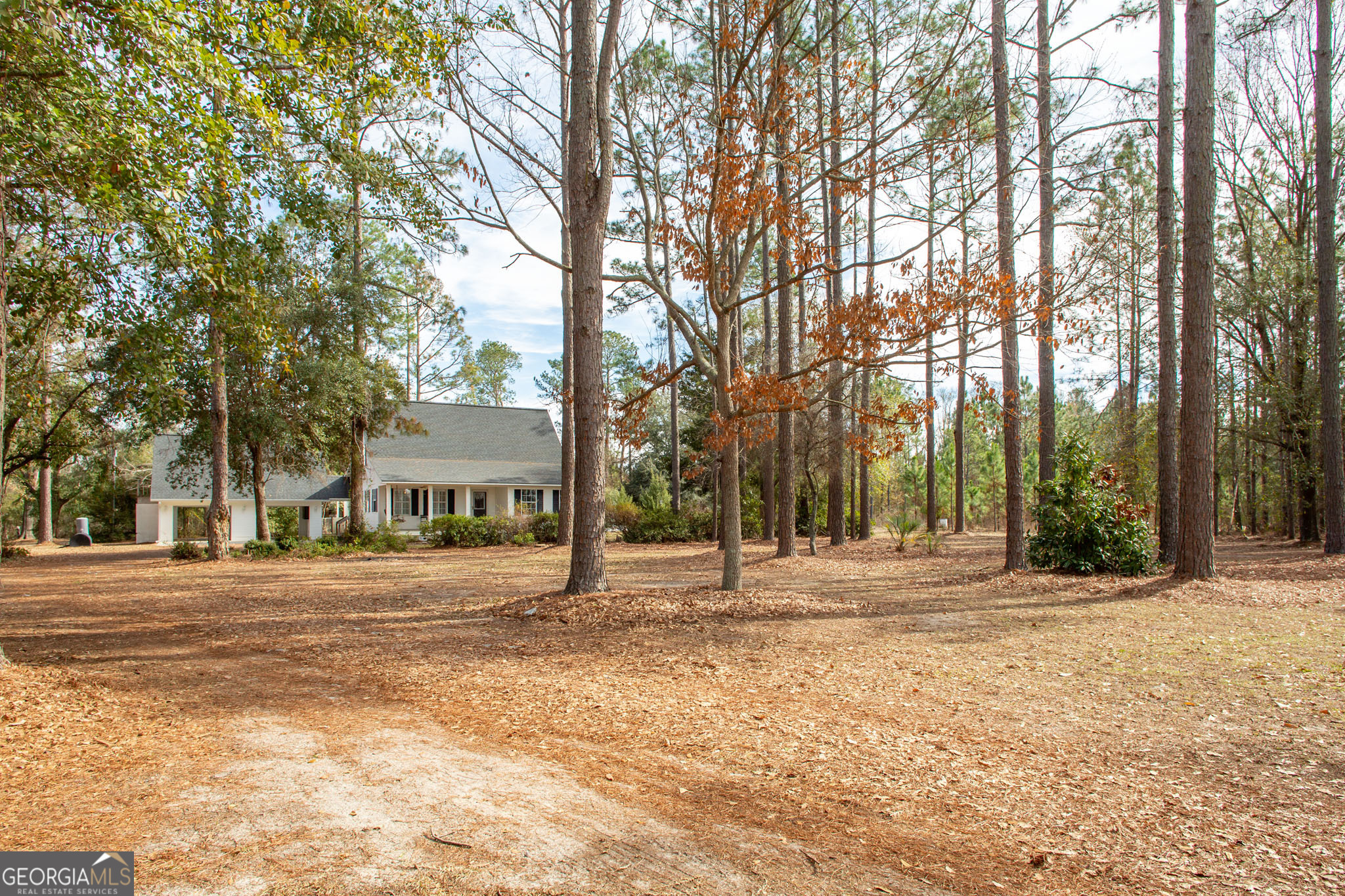 1700 Mt Green Road Manor, GA 31550 - Photo 47 of 49